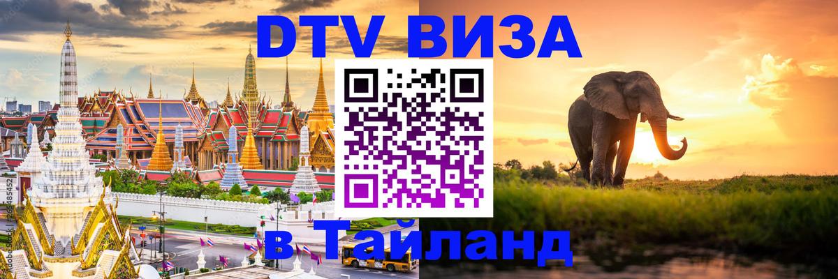 Оформление DTV визы под ключ: стоимость и тарифы, только загранпаспорт - 